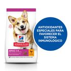 Hill's Science Plan Adult Small & Mini Pollo pienso para perros, , large image number null